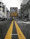 State of the World's Cities 2010/11 (eBook, ePUB)