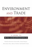 Environment and Trade (eBook, ePUB)