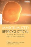 Marginalized Reproduction (eBook, ePUB)