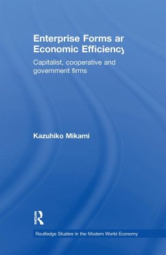 Enterprise Forms and Economic Efficiency (eBook, PDF) - Mikami, Kazuhiko Enterprise Forms and Economic Efficiency (eBook, PDF) - Mikami, Kazuhiko