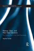 Nature, Class, and New Deal Literature (eBook, ePUB)