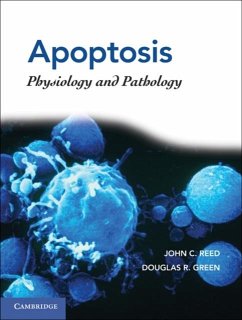 Cover Apoptosis (eBook, PDF)