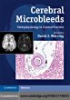 Cerebral Microbleeds (eBook, PDF) - Bild 1
