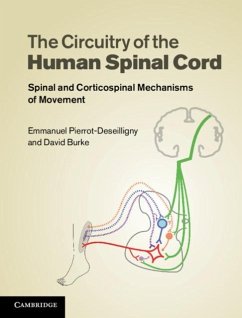 Circuitry of the Human Spinal Cord (eBook, PDF) - Pierrot-Deseilligny, Emmanuel