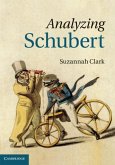 Analyzing Schubert (eBook, PDF)