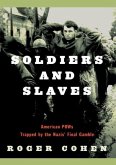 Soldiers and Slaves (eBook, ePUB)