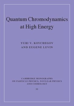 Cover Quantum Chromodynamics at High Energy (eBook, PDF)