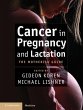 Cancer in Pregnancy and Lactation... - Bild 1
