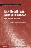 Risk Modelling in General Insurance (eBook, PDF)