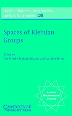 Spaces of Kleinian Groups (eBook, PDF)