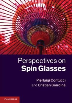 Cover Perspectives on Spin Glasses (eBook, PDF)