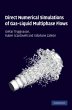 Direct Numerical Simulations of... - Bild 1
