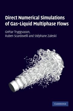 Direct Numerical Simulations of Gas-Liquid Multiphase Flows (eBook, PDF) - Tryggvason, Gretar