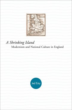 Shrinking Island (eBook, ePUB) - Esty, Jed