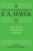 The Pure Theory of Capital (eBook, PDF)