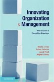 Innovating Organization and Management (eBook, PDF)