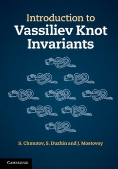 Introduction to Vassiliev Knot Invariants (eBook, PDF) - Chmutov, S.