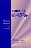 Ethnicity and Causal Mechanisms (eBook, PDF)
