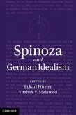 Spinoza and German Idealism (eBook, PDF)