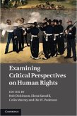 Examining Critical Perspectives on Human Rights (eBook, PDF)