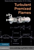 Turbulent Premixed Flames (eBook, PDF)