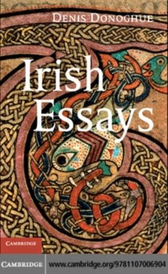 Cover Irish Essays (eBook, PDF)