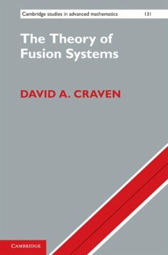 Theory of Fusion Systems (eBook, PDF) - Craven, David A.