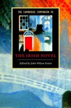 Cover Cambridge Companion to the Irish Novel (eBook, PDF)