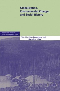 Globalization, Environmental Change, and Social History (eBook, PDF)