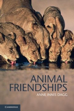 Cover Animal Friendships (eBook, PDF)
