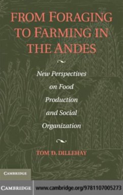 From Foraging to Farming in the Andes (eBook, PDF)