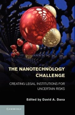 Nanotechnology Challenge (eBook, PDF)