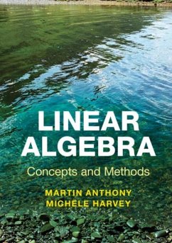 Linear Algebra: Concepts and Methods (eBook, PDF) - Anthony, Martin