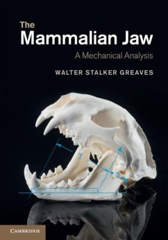 Mammalian Jaw (eBook, PDF) - Greaves, Walter Stalker