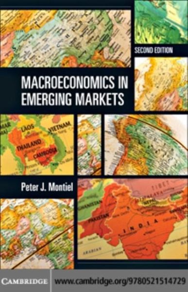 Macroeconomics in Emerging Markets (eBook, PDF)