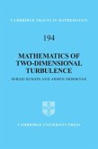 Mathematics of Two-Dimensional Turbulence (eBook, PDF)