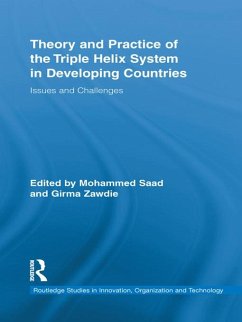 Theory and Practice of the Triple Helix Model in Developing Countries (eBook, ePUB)