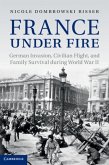 France under Fire (eBook, PDF)