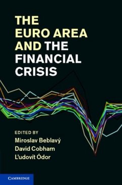 Cover Euro Area and the Financial Crisis (eBook, PDF)
