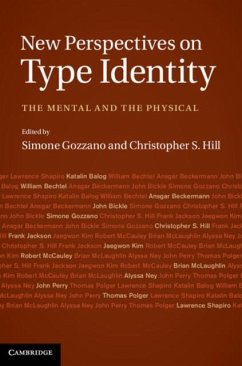 New Perspectives on Type Identity (eBook, PDF)