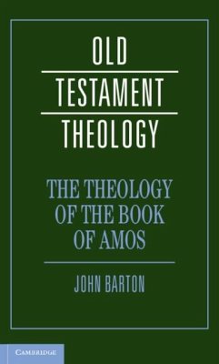 Cover Theology of the Book of Amos (eBook, PDF)