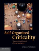 Self-Organised Criticality (eBook, PDF)