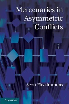 Cover Mercenaries in Asymmetric Conflicts (eBook, PDF)