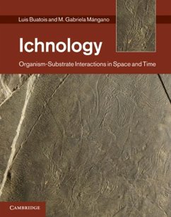Cover Ichnology (eBook, PDF)