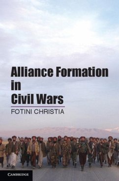 Cover Alliance Formation in Civil Wars (eBook, PDF)
