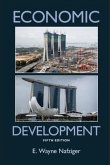 Economic Development (eBook, PDF)