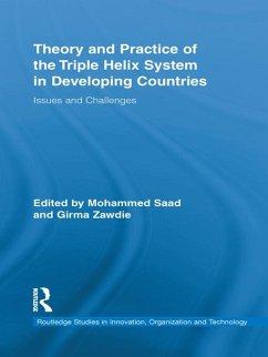Theory and Practice of the Triple Helix Model in Developing Countries (eBook, PDF)