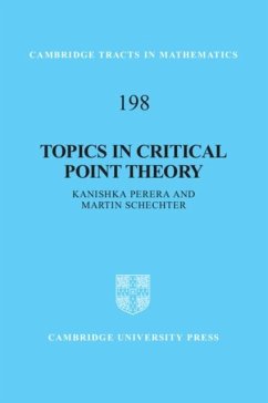 Topics in Critical Point Theory (eBook, PDF) - Perera, Kanishka