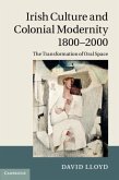 Irish Culture and Colonial Modernity 1800-2000 (eBook, PDF)