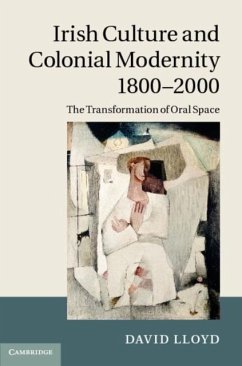 Irish Culture and Colonial Modernity 1800-2000 (eBook, PDF) - Lloyd, David